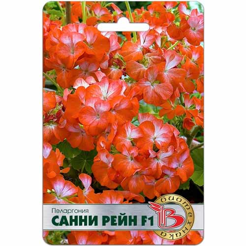 Пеларгония Санни Рейн F1 Биотехника изображение 1 артикул 40435