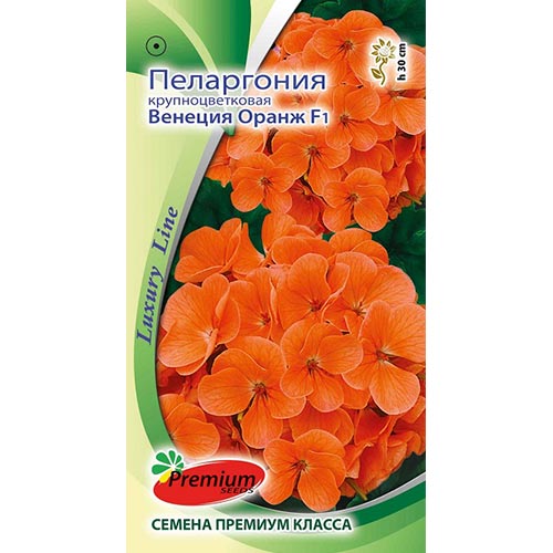 Пеларгония Венеция Оранж F1, семена изображение 1 артикул 93200