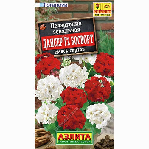 Пеларгония зональная Дансер Босворт F2, смесь окрасок Аэлита изображение 1 артикул 99020