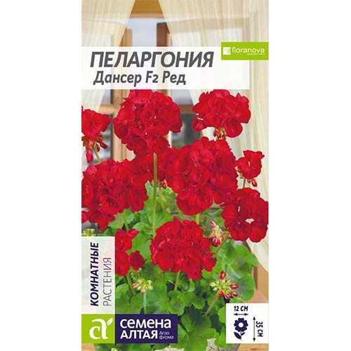 Пеларгония Дансер Ред F2 Семена Алтая артикул фото 1 Пеларгония Дансер Ред F2 Семена Алтая изображение 1 артикул 78287