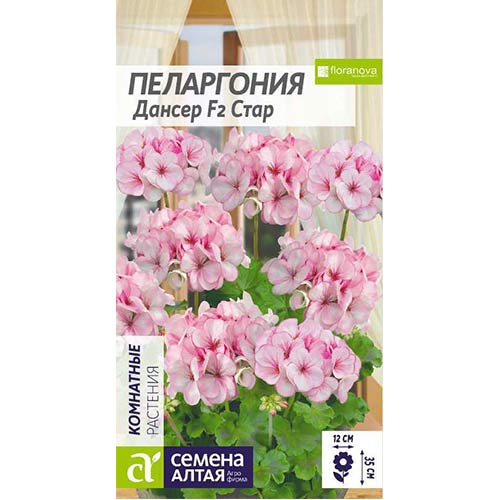 Пеларгония Дансер Стар F2 Семена Алтая артикул фото 1 Пеларгония Дансер Стар F2 Семена Алтая изображение 1 артикул 78288