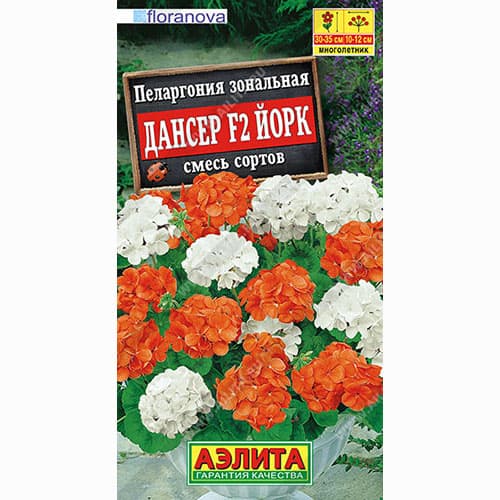 Пеларгония зональная Дансер Йорк F2, смесь окрасок Аэлита изображение 1 артикул 99022