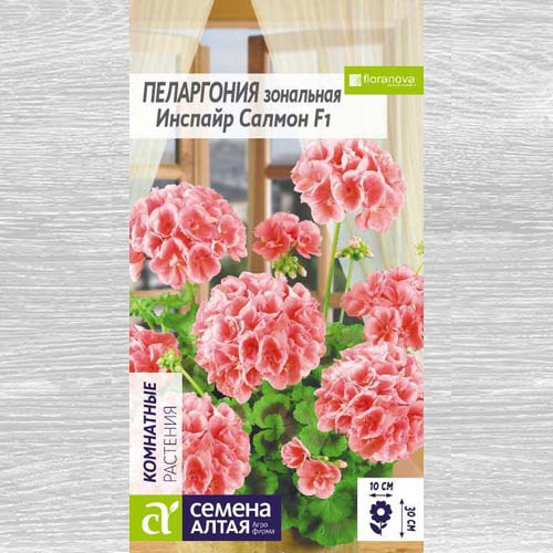 Пеларгония зональная Инспайр Салмон F1 артикул фото 1 Пеларгония зональная Инспайр Салмон F1 изображение 1 артикул 78290