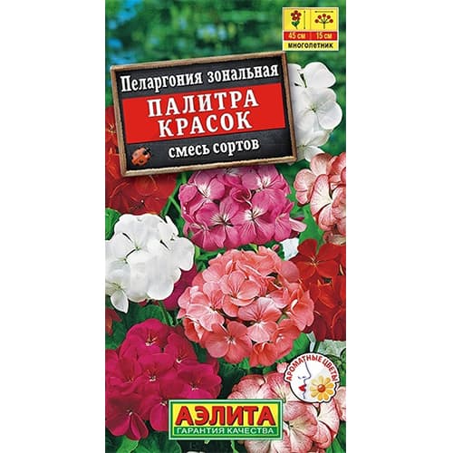 Пеларгония зональная Палитра красок, смесь окрасок Аэлита изображение 1 артикул 40359