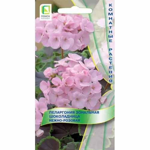 Пеларгония зональная Шоколадница Нежно-розовая Поиск изображение 1 артикул 97888