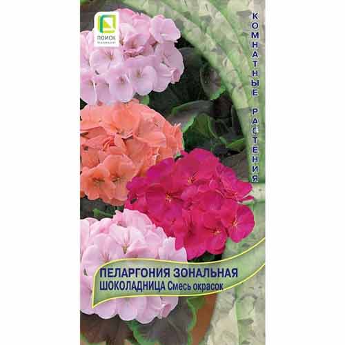 Пеларгония зональная Шоколадница, смесь окрасок Поиск изображение 1 артикул 97890