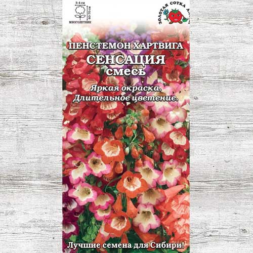 Пенстемон Хартвега Сенсация, смесь окрасок артикул фото 1 Пенстемон Хартвега Сенсация, смесь окрасок изображение 1 артикул 83723