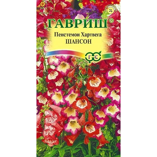 Пенстемон Хартвига Шансон, смесь окрасок артикул фото 1 Пенстемон Хартвига Шансон, смесь окрасок изображение 1 артикул 92186