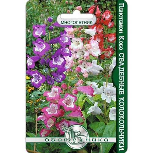 Пенстемон Кобо Свадебные колокольчики, смесь окрасок изображение 1 артикул 91600