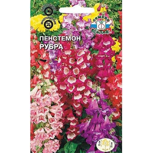 Пенстемон Рубра, смесь окрасок артикул фото 1 Пенстемон Рубра, смесь окрасок изображение 1 артикул 93934
