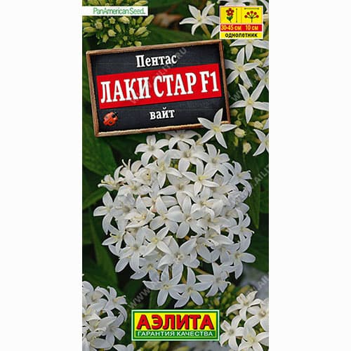 Пентас Лаки стар вайт F1 Аэлита изображение 1 артикул 99027