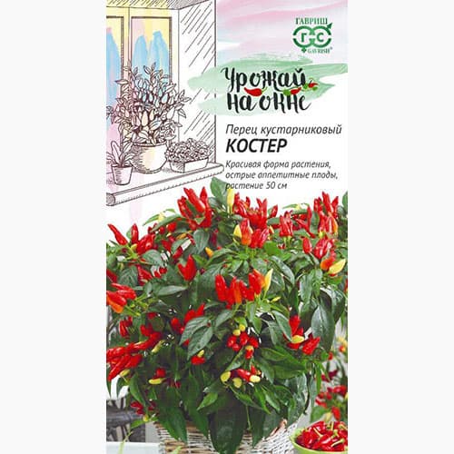 Перец острый кустарниковый Костер Гавриш артикул фото 1 Перец острый кустарниковый Костер Гавриш изображение 1 артикул 97472