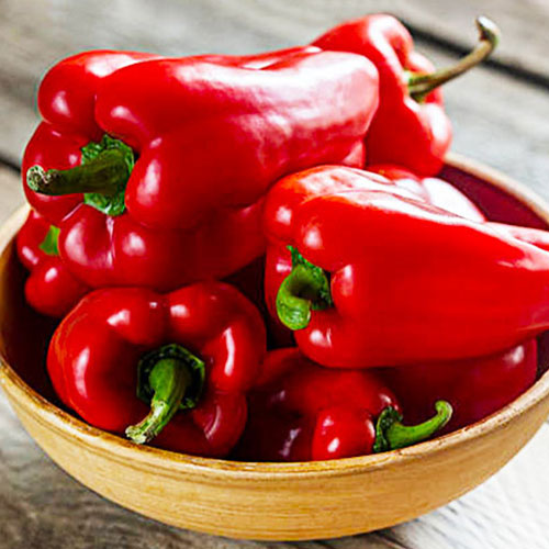 Перец сладкий Биг Бон Premium Seeds изображение 1 артикул 83800