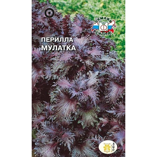 Перилла кустарниковая Мулатка, семена изображение 1 артикул 93935