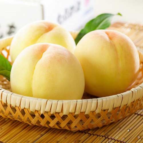 Персик Белый лебедь изображение 1 артикул 7436