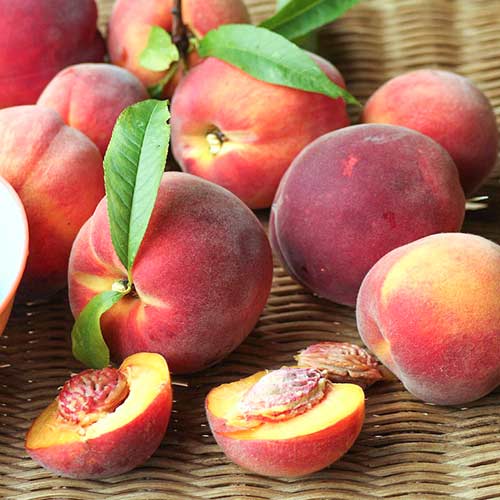 Персик Роял Ви артикул фото 1 Персик Роял Ви изображение 1 артикул 4229