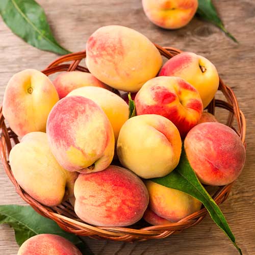 Персик Топ Свит артикул фото 1 Персик Топ Свит изображение 1 артикул 4233