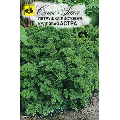 Петрушка кудрявая Астра, семена изображение 1 артикул 94266
