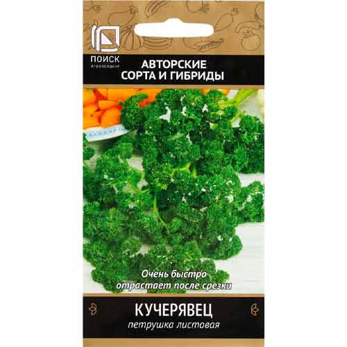 Петрушка кудрявая Кучерявец Поиск изображение 1 артикул 92794