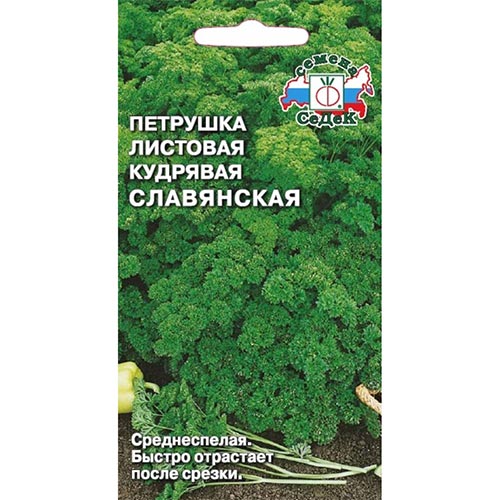 Петрушка кудрявая Славянская, семена изображение 1 артикул 93497