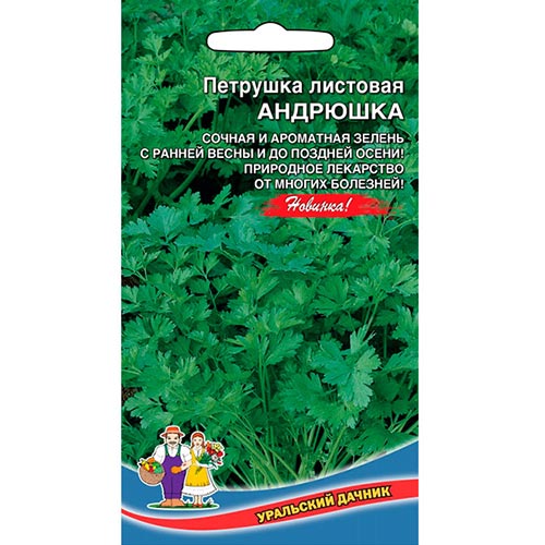 Петрушка листовая Андрюшка, семена изображение 1 артикул 94651