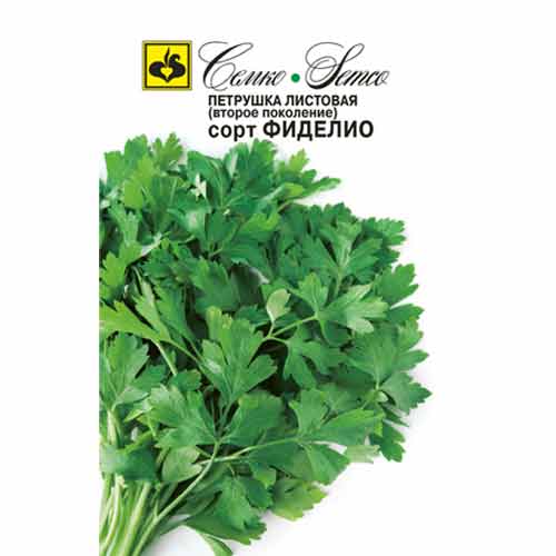 Петрушка листовая Фиделио Семко изображение 1 артикул 94268