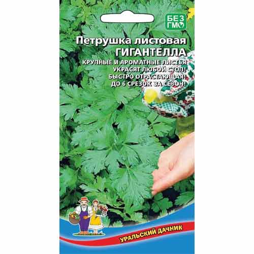 Петрушка листовая Гигантелла Уральский дачник изображение 1 артикул 83080