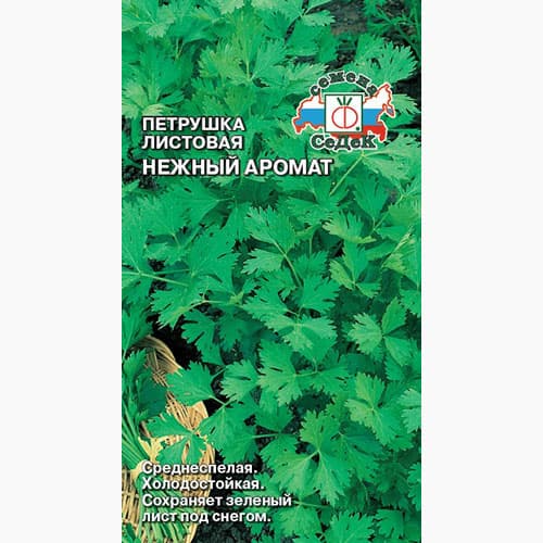 Петрушка листовая Нежный аромат Седек изображение 1 артикул 98188