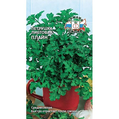 Петрушка листовая Плайн, семена изображение 1 артикул 93501