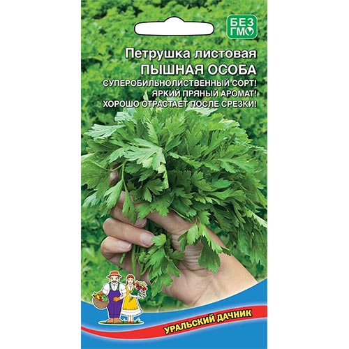Петрушка листовая Пышная особа, семена изображение 1 артикул 94656