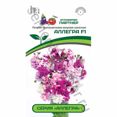 Петуния крупноцветковая махровая срезочная Аллегра F1 Партнер изображение 1 артикул 83009
