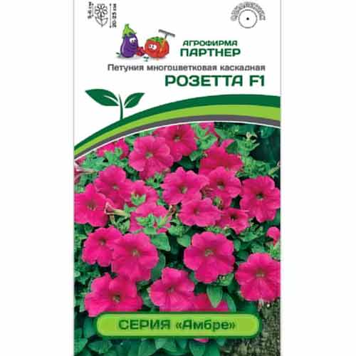 Петуния многоцветковая каскадная Амбре Розетта F1 Партнер изображение 1 артикул 82955