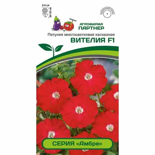 Петуния многоцветковая каскадная Амбре Вителия F1 Партнер изображение 1 артикул 82951