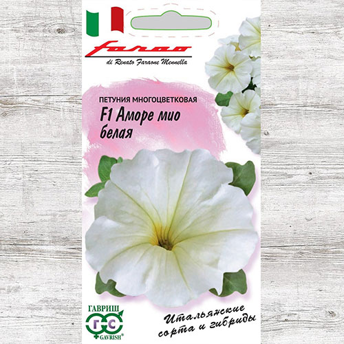Петуния Аморе Мио белая F1 Гавриш артикул фото 1 Петуния Аморе Мио белая F1 Гавриш изображение 1 артикул 71221