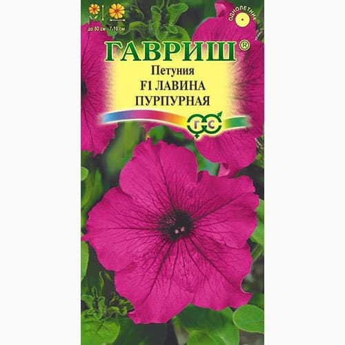 Петуния ампельная Лавина Пурпурная F1 Гавриш изображение 1 артикул 97782