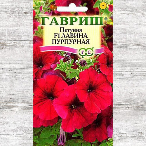 Петуния Лавина пурпурная F1 Гавриш изображение 1 артикул 71215