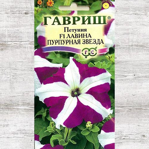 Петуния Лавина Пурпурная звезда F1 Гавриш изображение 1 артикул 71214