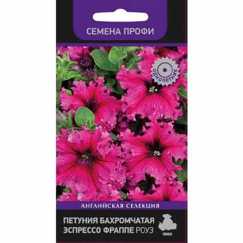 Петуния бахромчатая Эспрессо Фраппе Роуз Поиск изображение 1 артикул 97891