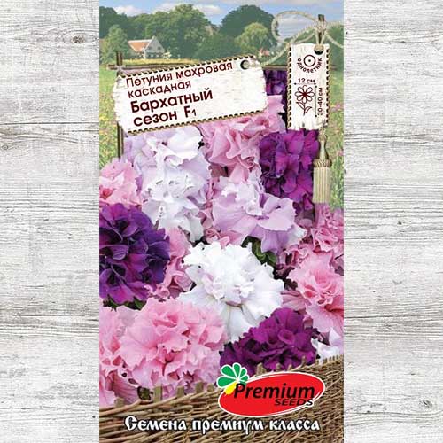 Петуния Бархатный сезон F1, смесь окрасок изображение 1 артикул 83951