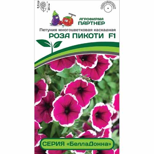 Петуния многоцветковая каскадная БеллаДонна Роза Пикоти F1 Партнер артикул фото 1 Петуния многоцветковая каскадная БеллаДонна Роза Пикоти F1 Партнер изображение 1 артикул 83008
