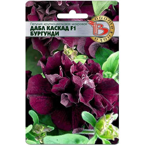 Петуния крупноцветковая махровая Дабл Каскад Бургунди F1 Биотехника изображение 1 артикул 82706
