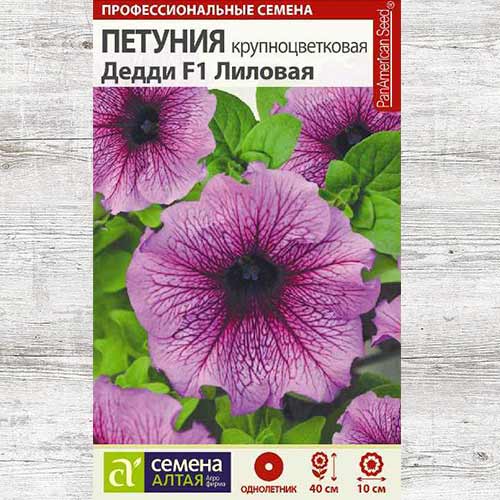 Петуния Дедди Лиловая F1 изображение 1 артикул 81716