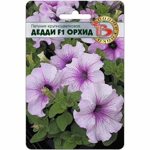 Петуния Дедди Орхид F1 Биотехника изображение 1 артикул 84652