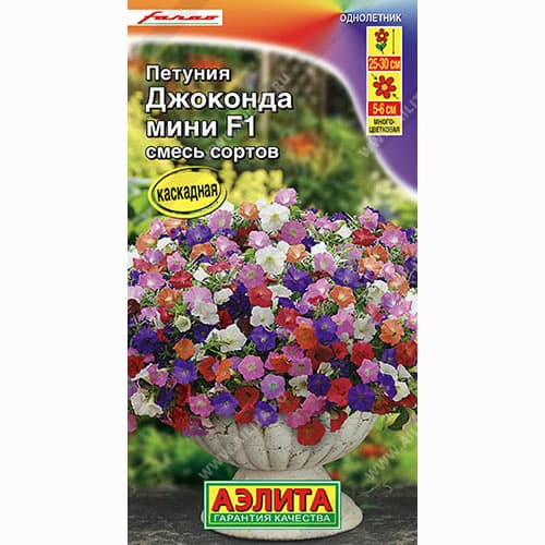 Петуния Джоконда мини F1, смесь окрасок Аэлита артикул фото 1 Петуния Джоконда мини F1, смесь окрасок Аэлита изображение 1 артикул 99055