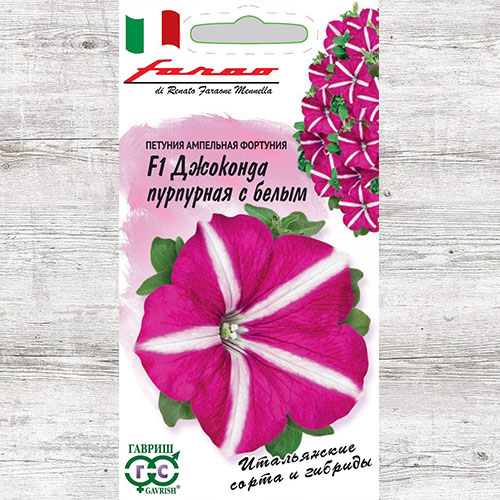 Петуния Джоконда пурпурная с белым F1 Гавриш артикул фото 1 Петуния Джоконда пурпурная с белым F1 Гавриш изображение 1 артикул 71233