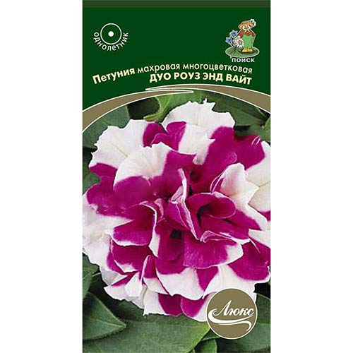 Петуния Дуо Роуз энд Вайт Поиск изображение 1 артикул 83194