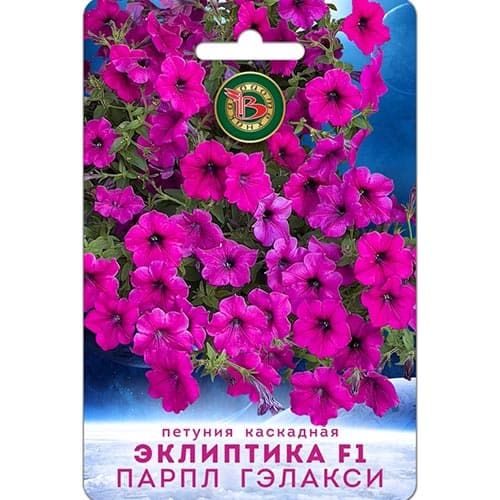 Петуния Эклиптика Парпл Гэлакси F1, семена артикул фото 1 Петуния Эклиптика Парпл Гэлакси F1, семена изображение 1 артикул 91604