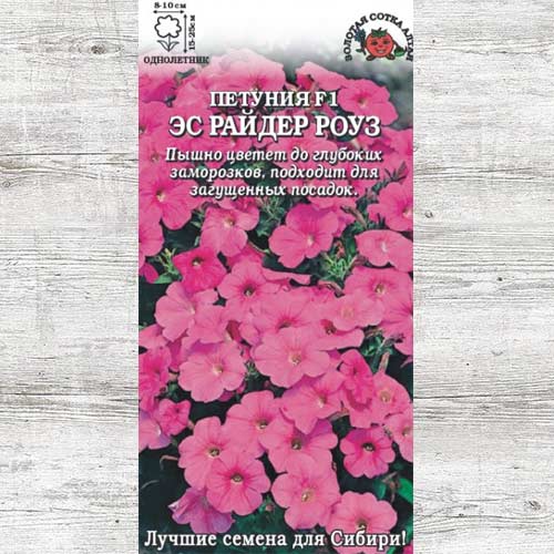 Петуния Эс Райдер Роуз F1 изображение 1 артикул 83666
