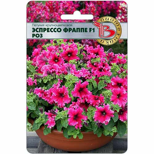 Петуния Эспрессо Фраппе Роз F1 Биотехника изображение 1 артикул 84672