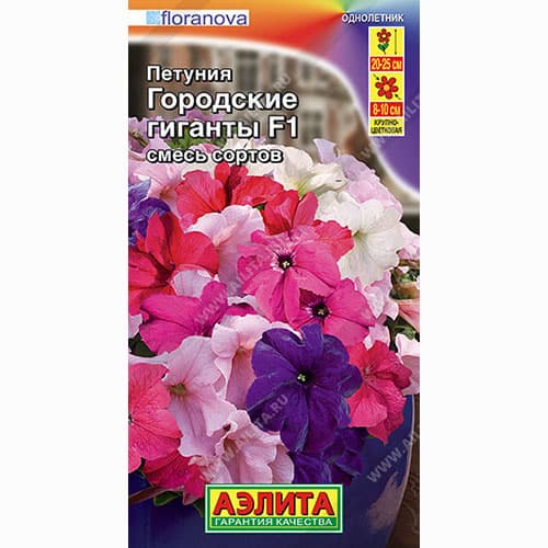 Петуния Городские гиганты F1, смесь окрасок Аэлита изображение 1 артикул 99045